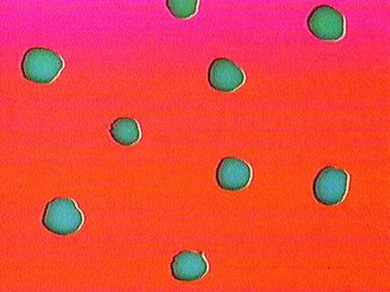 銀幕圖案 (M+ Cinema Programmes)電影劇照1