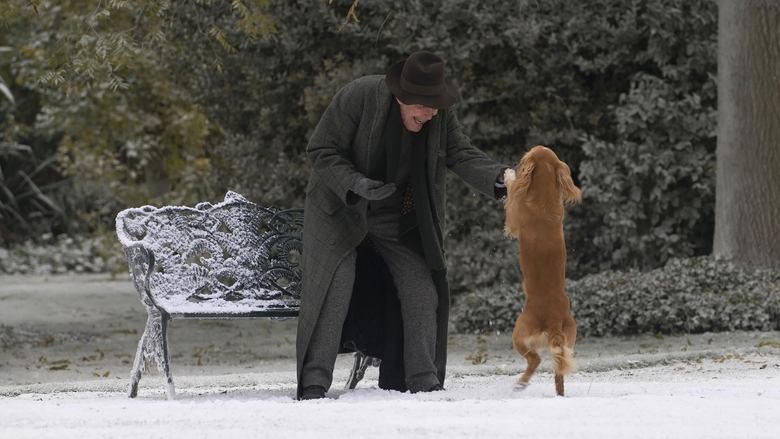 Dean Spanley電影劇照1