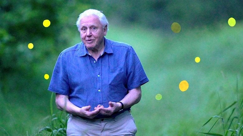 Attenborough's Life That Glows電影劇照1