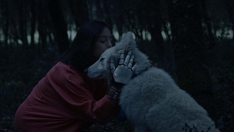 Black Hollow Cage電影劇照1