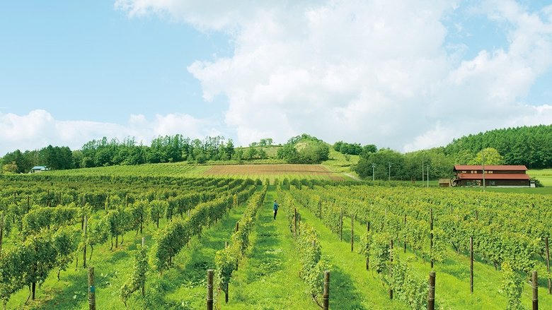 萄醉北海道電影劇照1