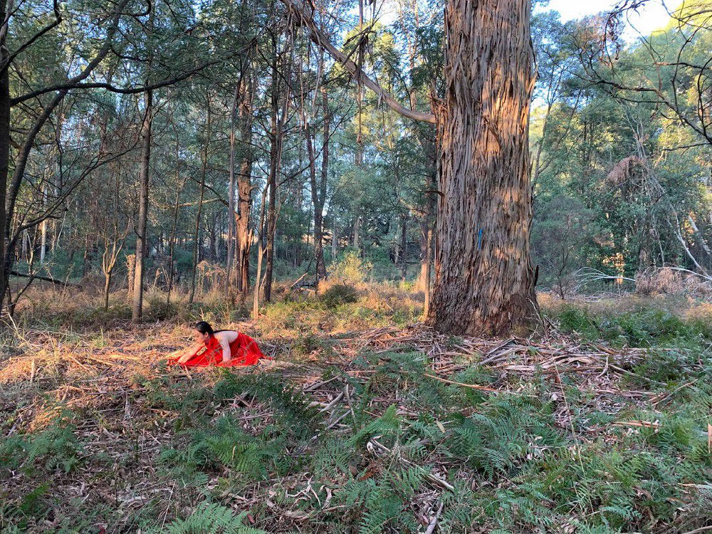 競賽單元入圍作品選 (一) (跳格國際舞蹈影像節2020)電影劇照1