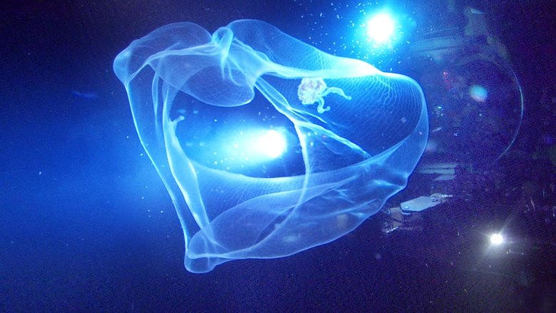 Aliens of the Deep電影劇照1