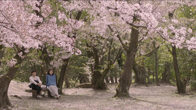 막다른 골목의 추억電影劇照1