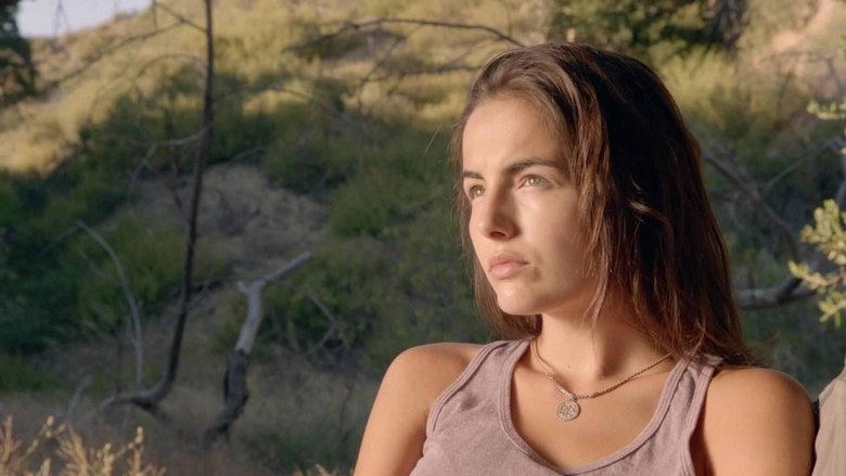 Open Road電影劇照1