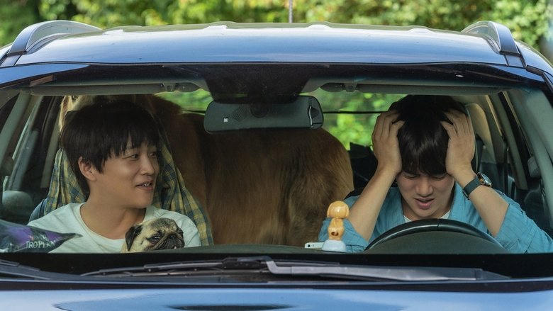 멍뭉이電影劇照1