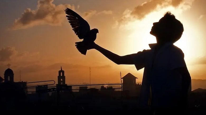 Conducta電影劇照1