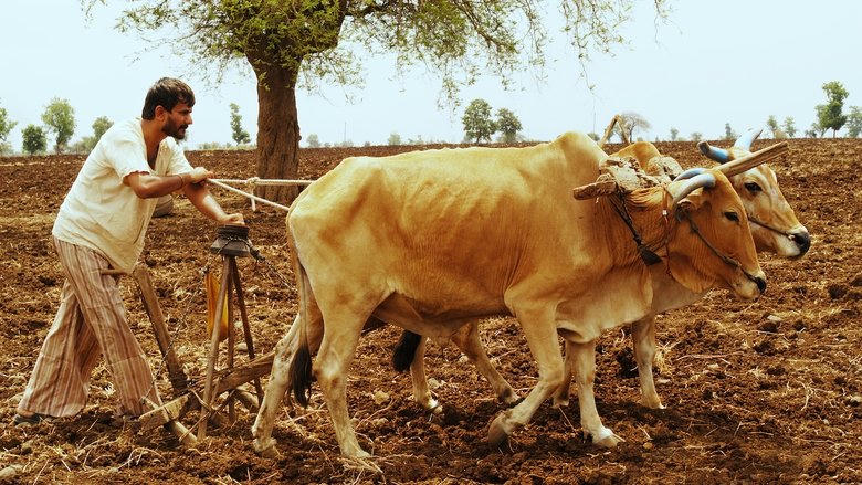 गाभ्रीचा पाऊस電影劇照1