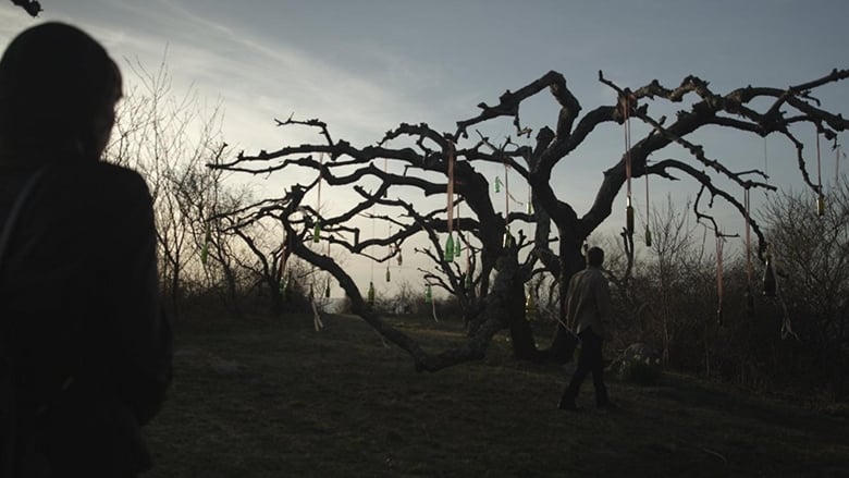 The Last Treasure Hunt電影劇照1