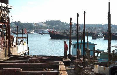 長洲誌 2016 + 刻記碑路 + - 華語紀錄片節2017電影劇照1