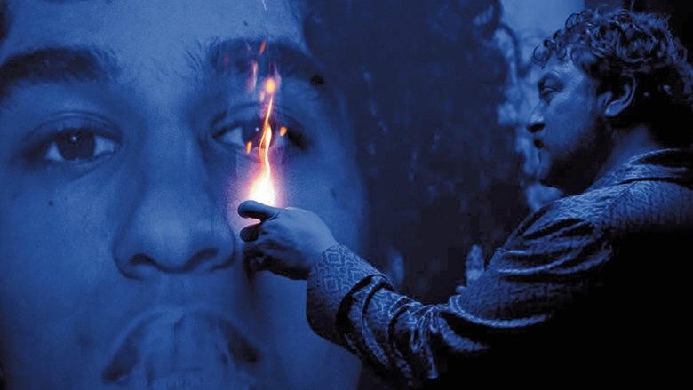 彼特的苦淚(HKIFF 46)電影劇照1