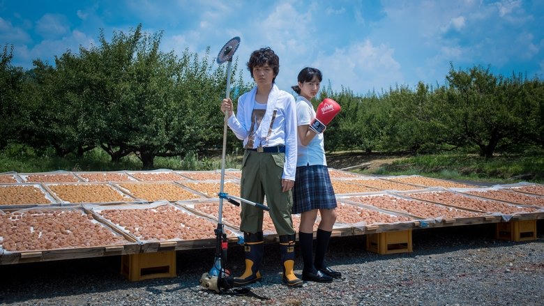 ポエトリーエンジェル電影劇照1