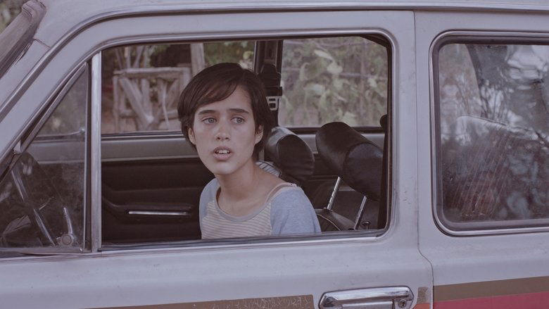 蘇菲亞的初夏電影劇照1