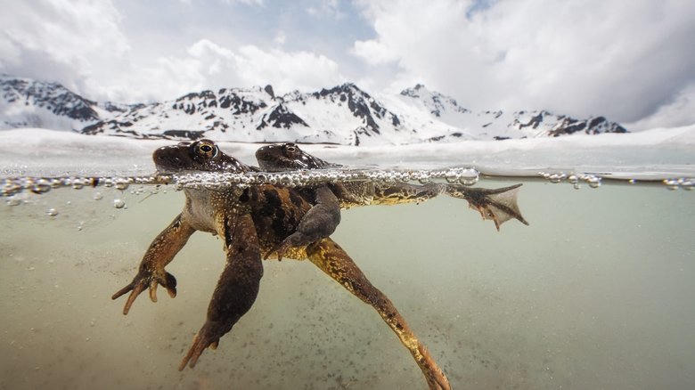 Le Plus Beau Pays du monde : Le Sanctuaire電影劇照1