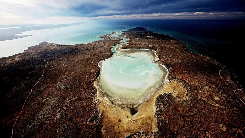 Planète Océan電影劇照1