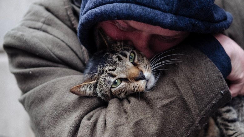 9個貓爸爸 (18th InDPanda)電影劇照1