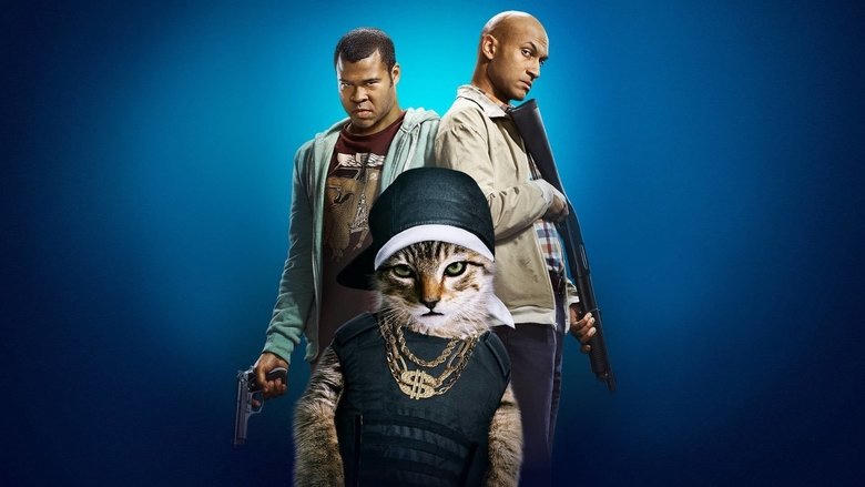 奇樂咪圍貓電影劇照1