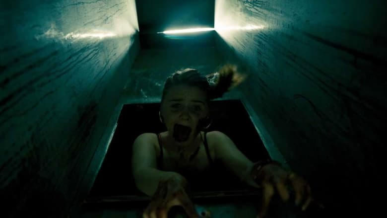 恐懼私竇電影劇照1