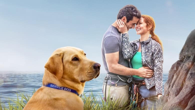 Guiding Emily電影劇照1