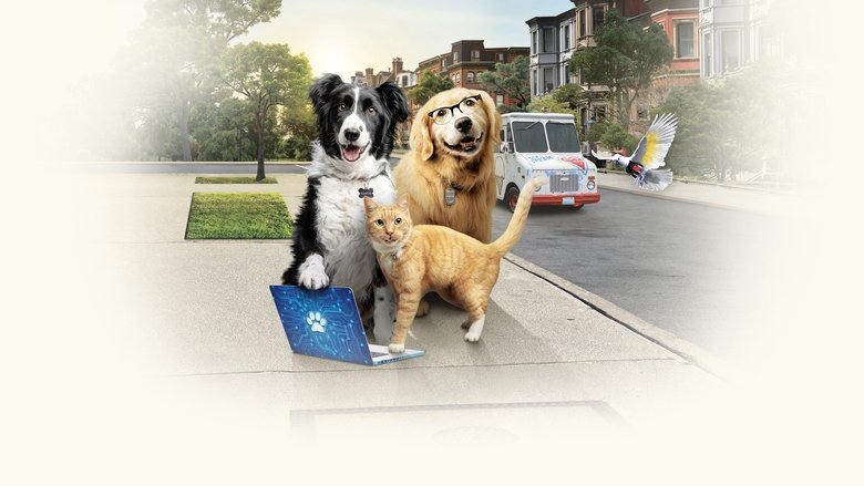 貓狗鬥3番：毛小孩大聯盟！電影劇照1