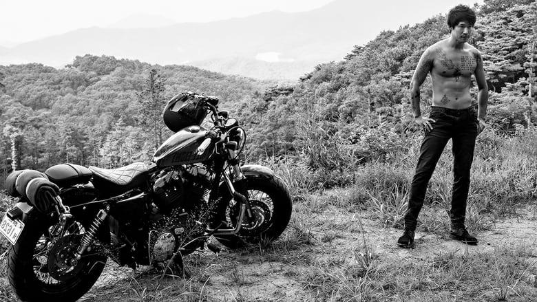 성난 화가電影劇照1