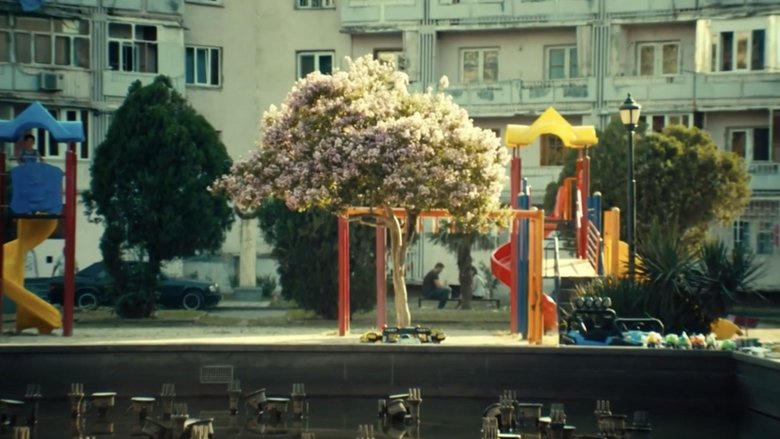 ნეტავ აღარასდროს მოვიდეს ზაფხული電影劇照1