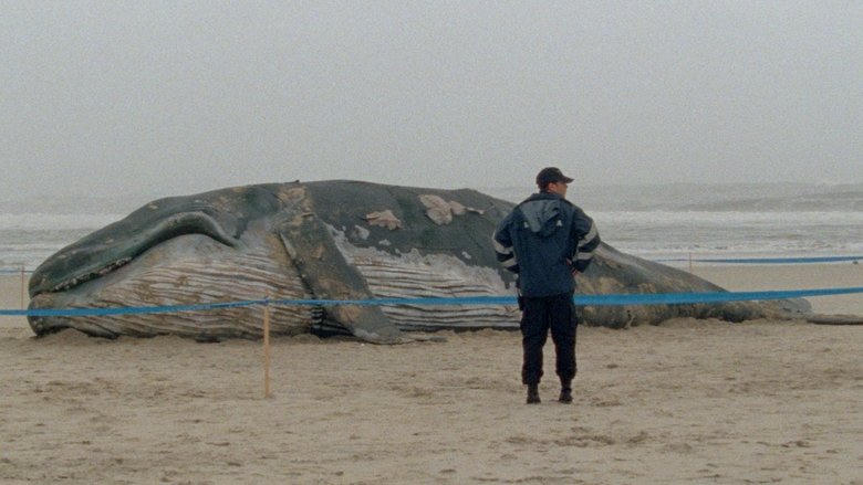 As Mil e Uma Noites: Volume 1, O Inquieto電影劇照1