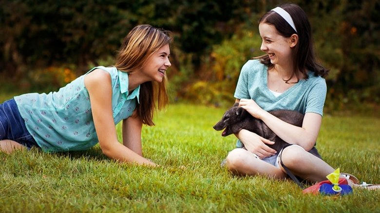 Amanda and the Fox電影劇照1