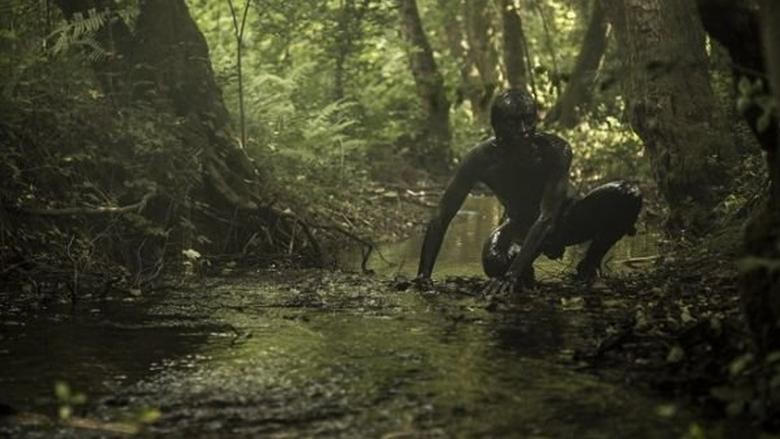 The Book of Vision電影劇照1