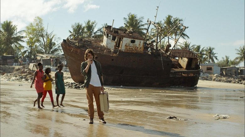 Um Animal Amarelo電影劇照1