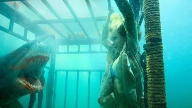 Raging Sharks電影劇照1