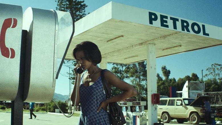 The Endless River電影劇照1