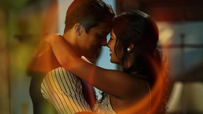 Toy Aficiao電影劇照1