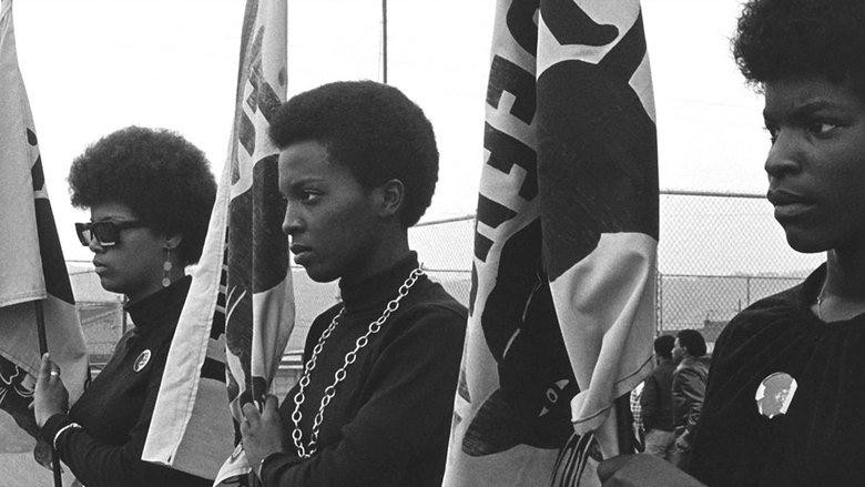 The Black Panthers: Vanguard of the Revolution電影劇照1