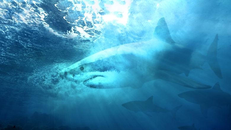 鯊魚幻色術電影劇照1