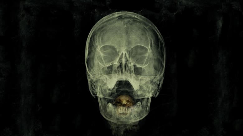 喪屍海灣電影劇照1