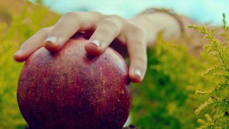 Unicórnio電影劇照1