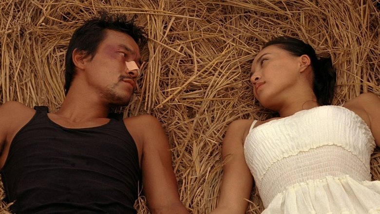 一半海水一半火焰電影劇照1