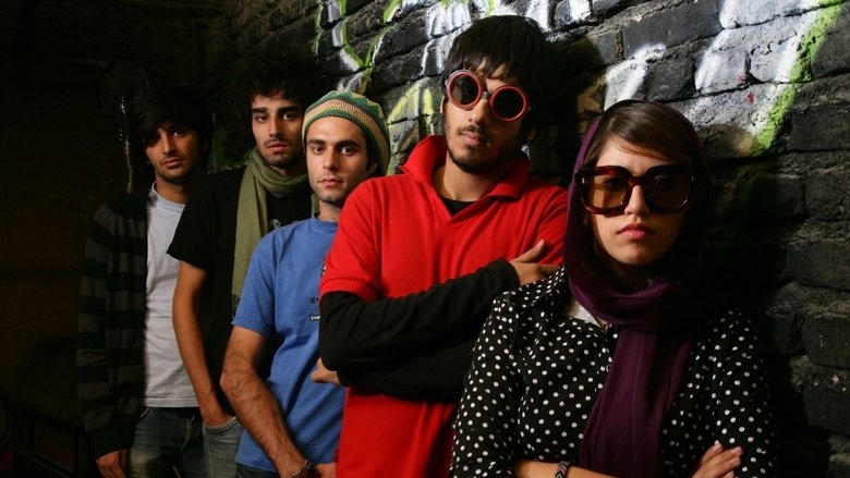 کسی از گربه‌های ایرانی خبر نداره電影劇照1