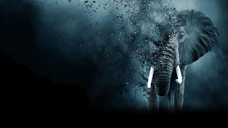 象牙博弈電影劇照1