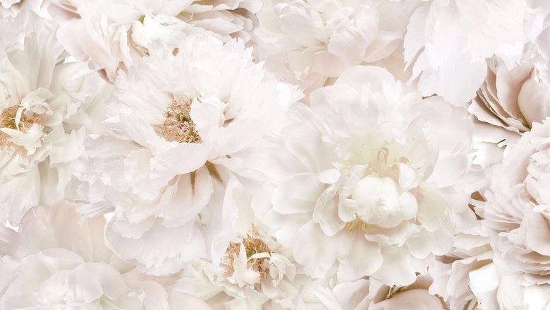 Deadly Vows電影劇照1