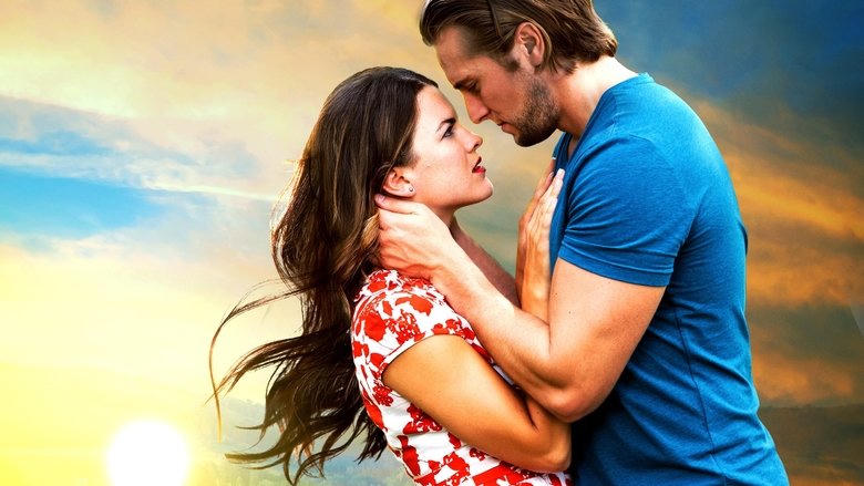 After the Storm電影劇照1