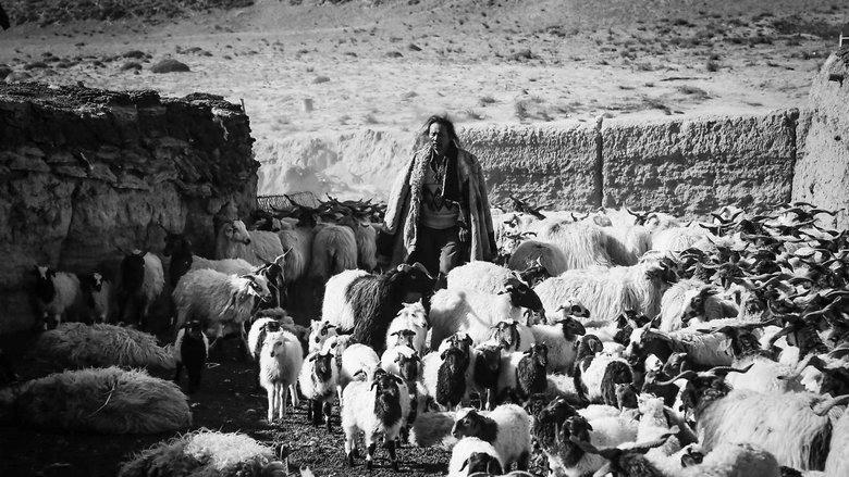 ཐར་ལོ།電影劇照1