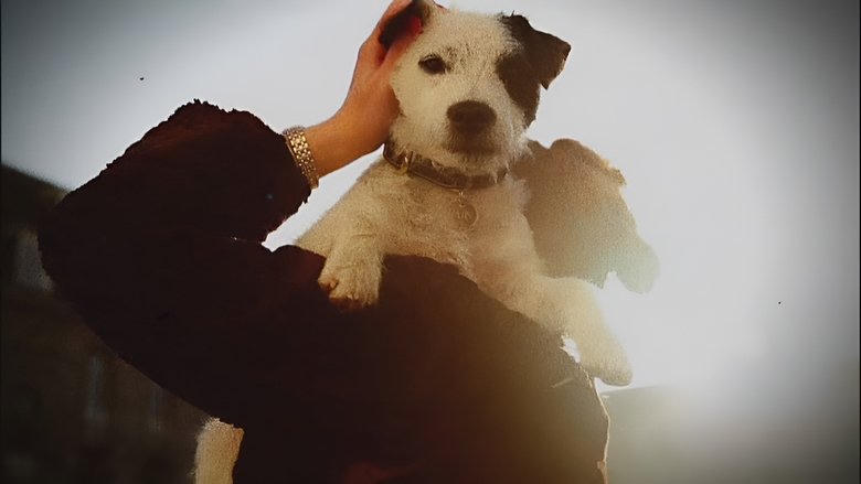 Double Cross: The True Story of the D-day Spies電影劇照1