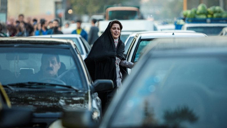 شنای پروانه電影劇照1