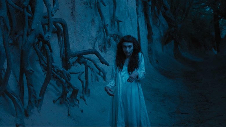 The Field Guide to Evil電影劇照1