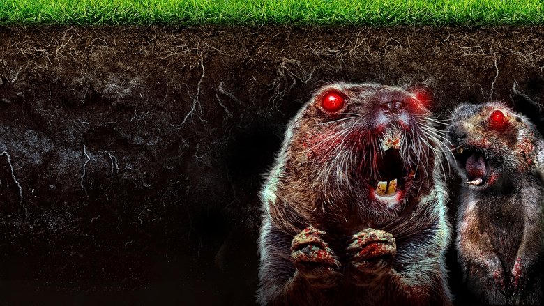 Caddy Hack電影劇照1