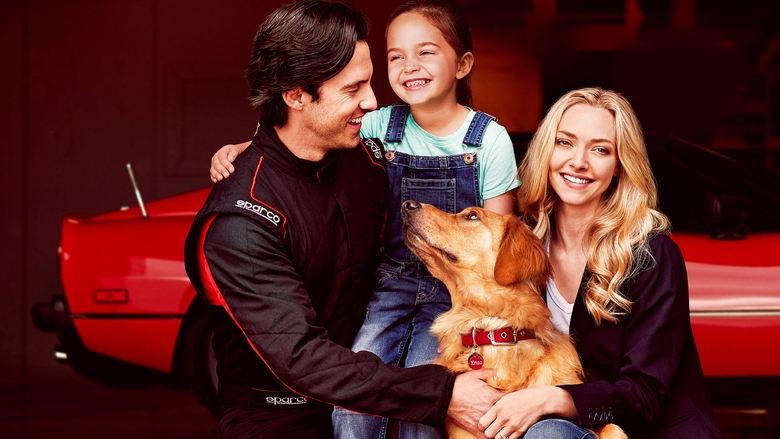 毛孩，在雨中等你 (X-Spatial Edition)電影劇照1