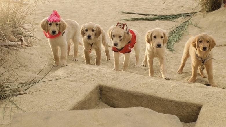 寶貝狗尋寶探險記電影劇照1