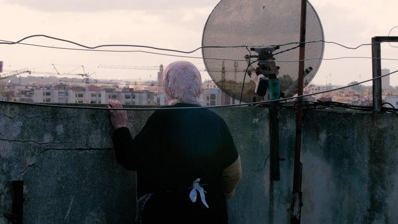 謊言之母電影劇照1